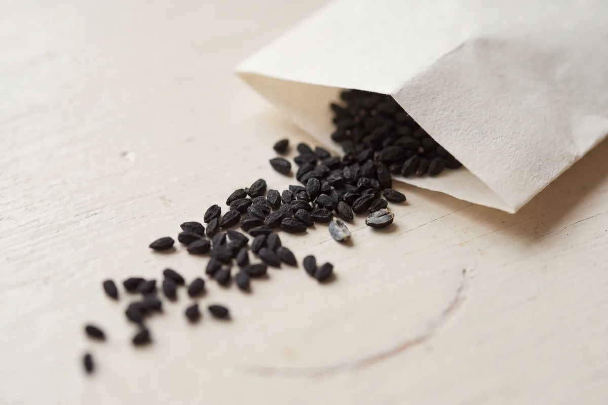 Black Nigella sativa seeds spilling from a folded paper packet onto a pale worktable