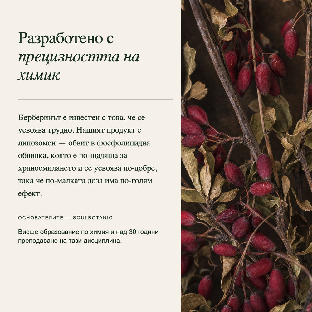  Експертна оценка на формулата 