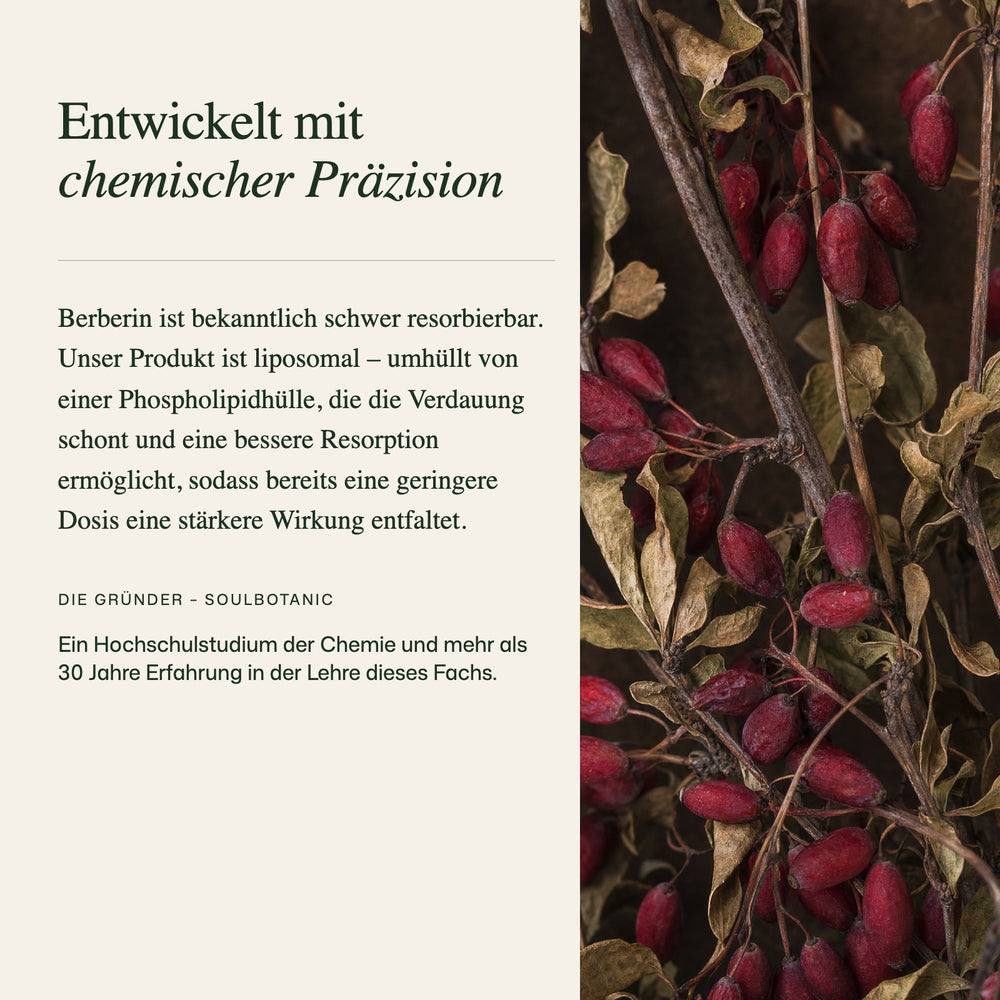  Expertenmeinung zur Rezeptur 