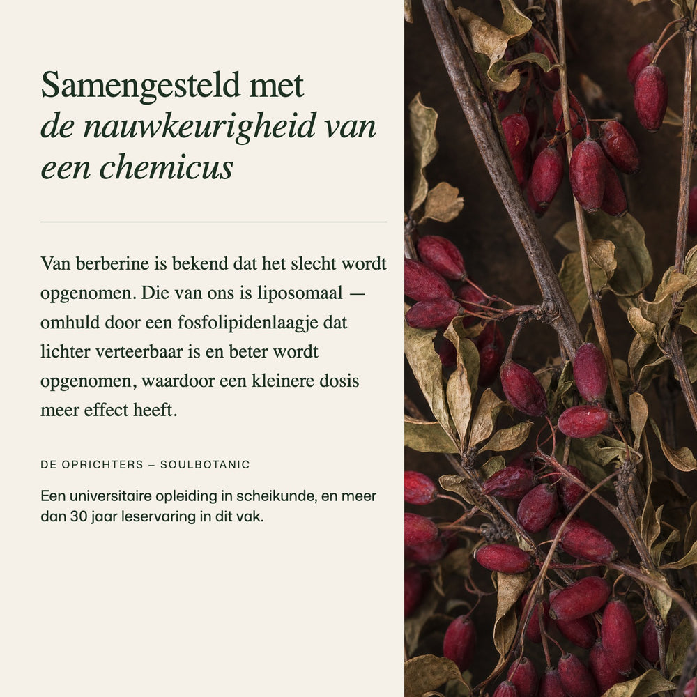  Het standpunt van experts over de formule 