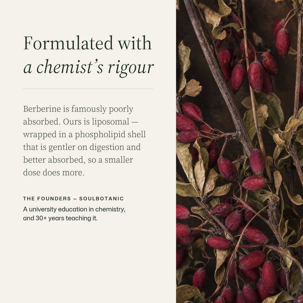 Expert perspective on the formula
