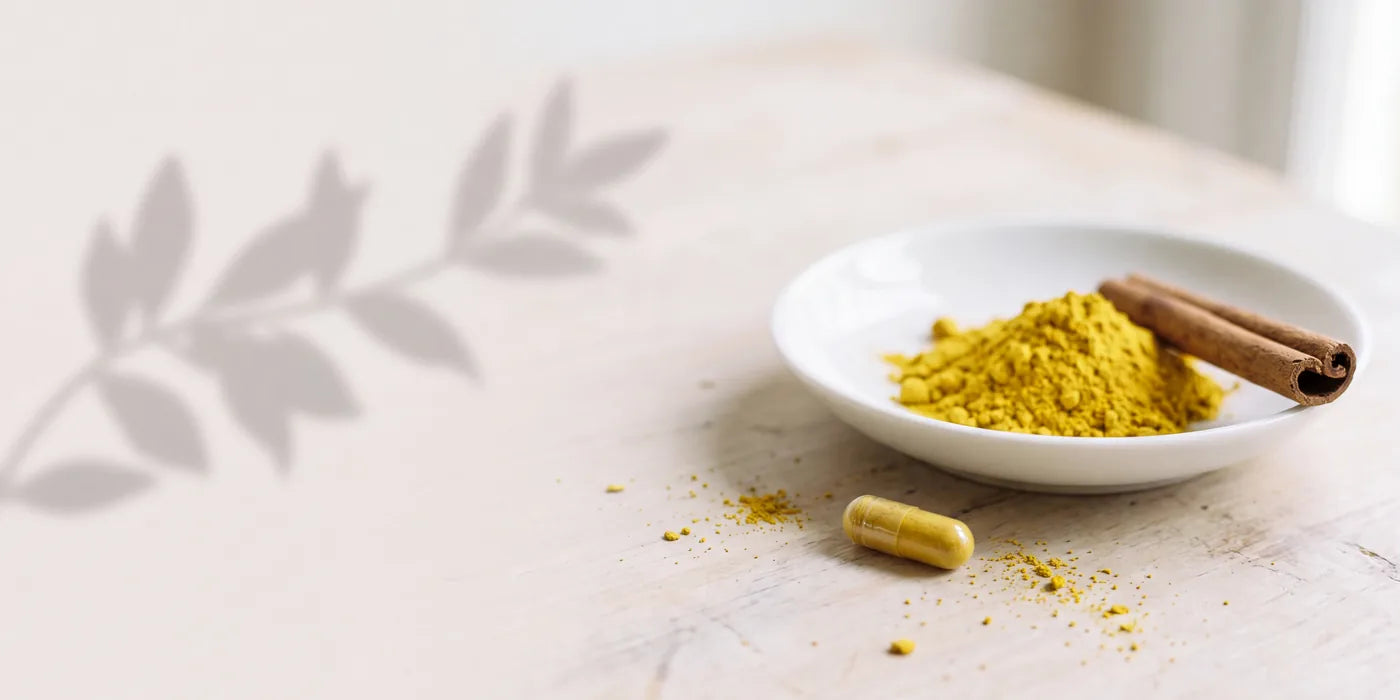 Canary-yellow berberine powder in a white dish with a cinnamon stick and a clear capsule on a pale worktable