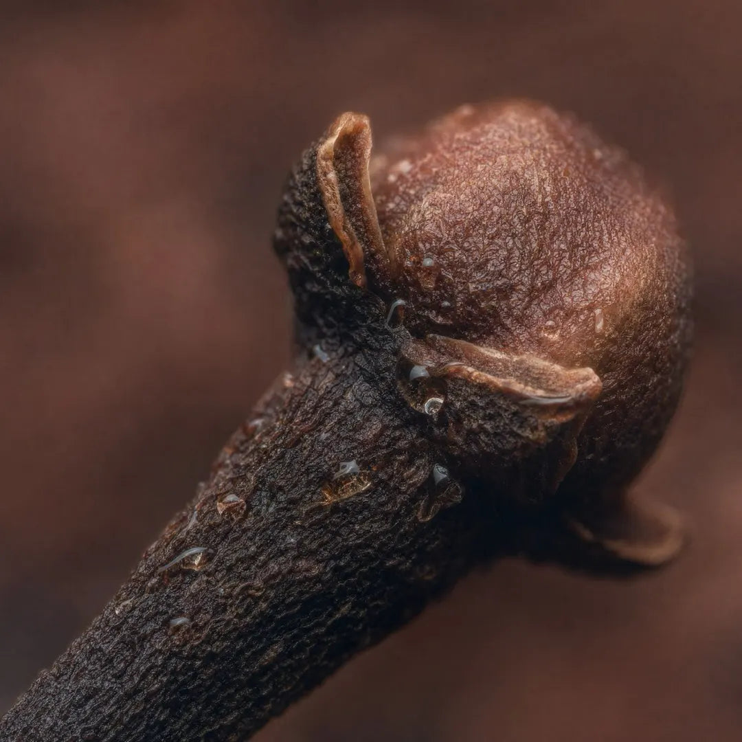 Clove Oil