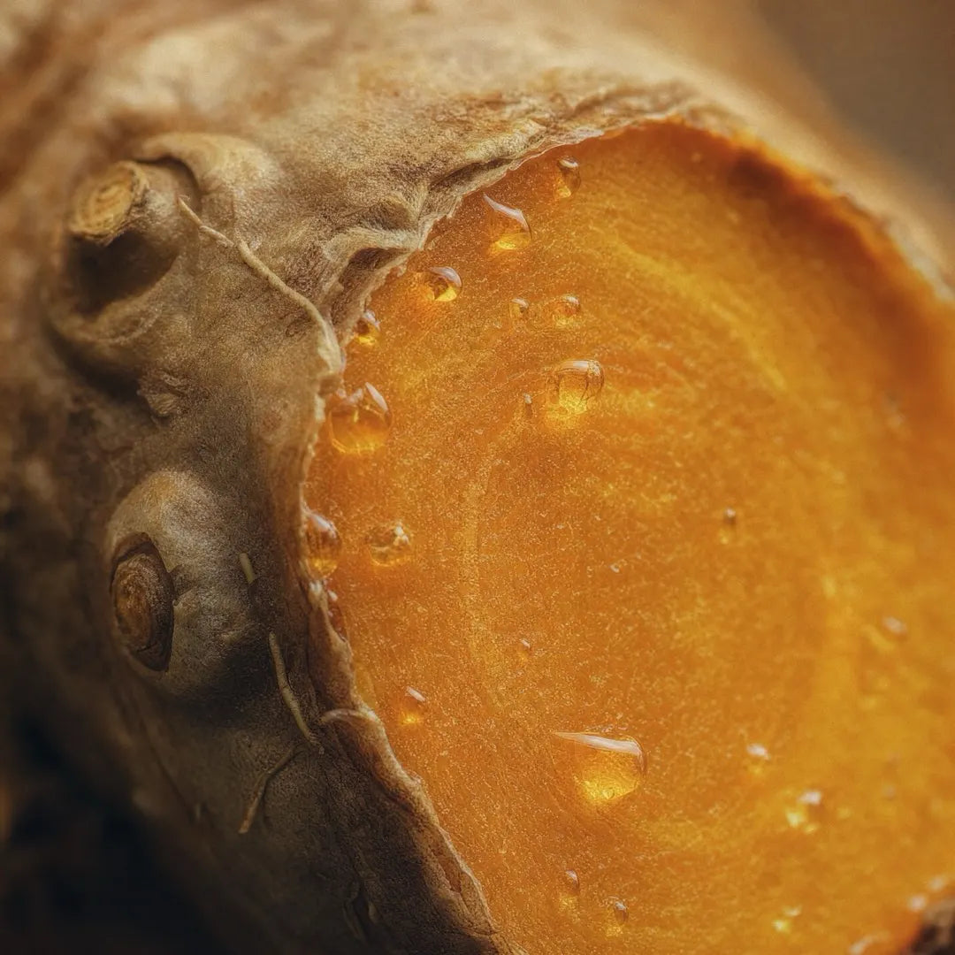 Turmeric Oil