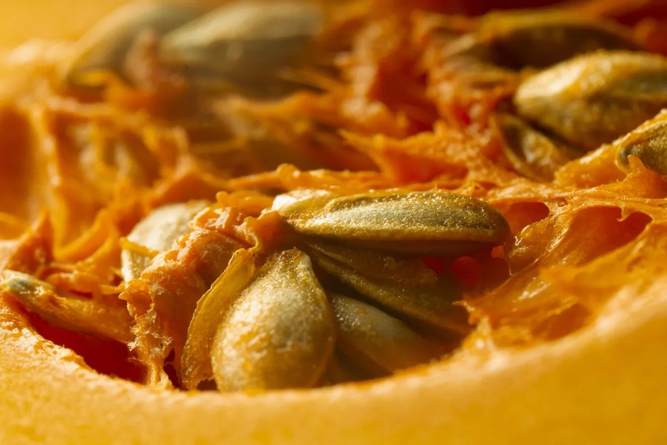 Pumpkin seeds, macro