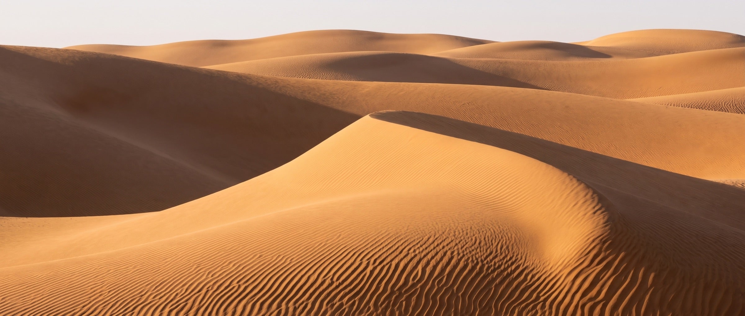 Softly curving sand-dune ridges repeating in a quiet natural rhythm.