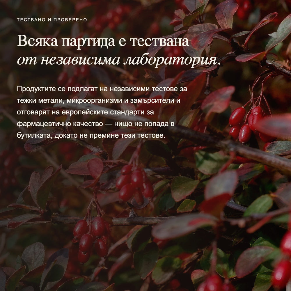  Независими тестове и доклад за партидата 