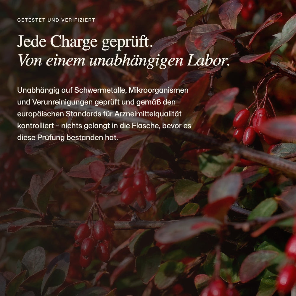  Unabhängige Prüfungen und der Chargenbericht 