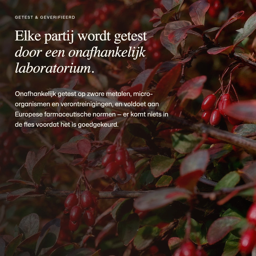  Onafhankelijke tests en het batchrapport 