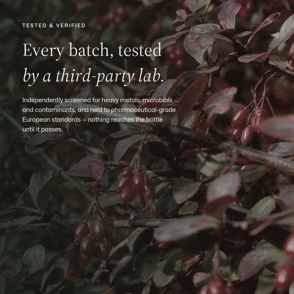 Independent testing and the batch report