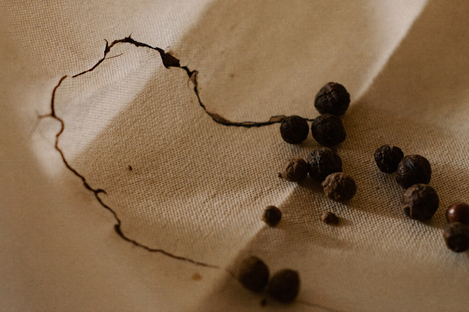 Extreme macro of cracked black peppercorns, the natural source of piperine