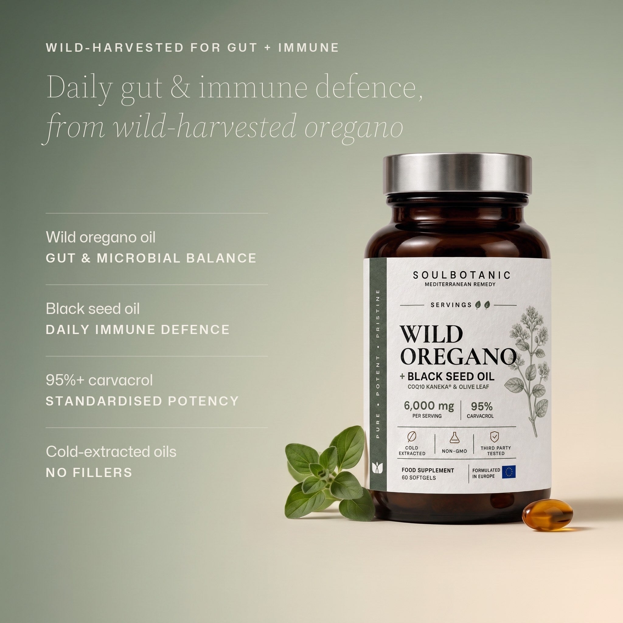 Wild Oregano + Black Seed Oil ingredient overview: wild oregano oil for gut and microbial balance, black seed oil for daily immune defence, 95%+ carvacrol standardised potency, cold-extracted oils with no fillers.